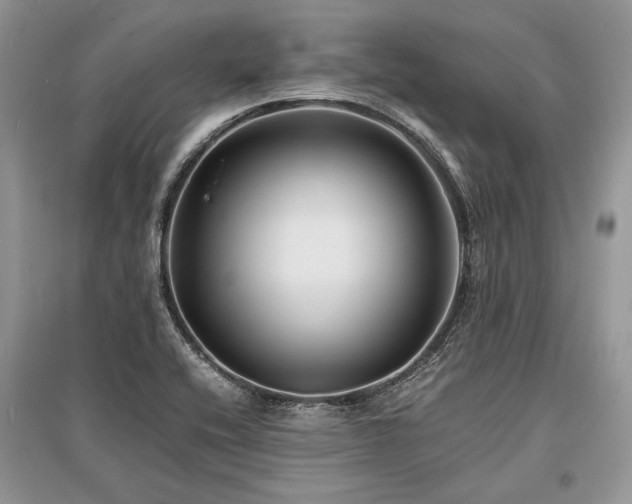 X0000096381416200801241226