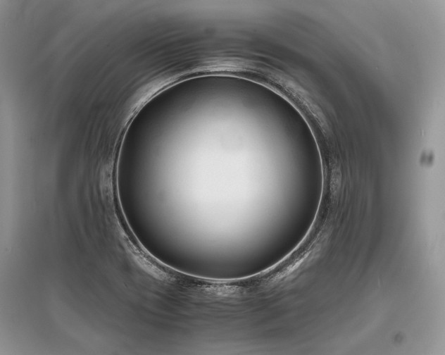 X0000096381417200801241226