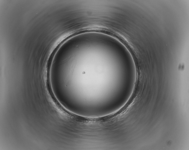 X0000096381418200801241226