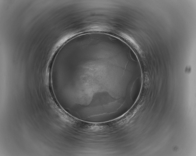 X0000096381419200801241226