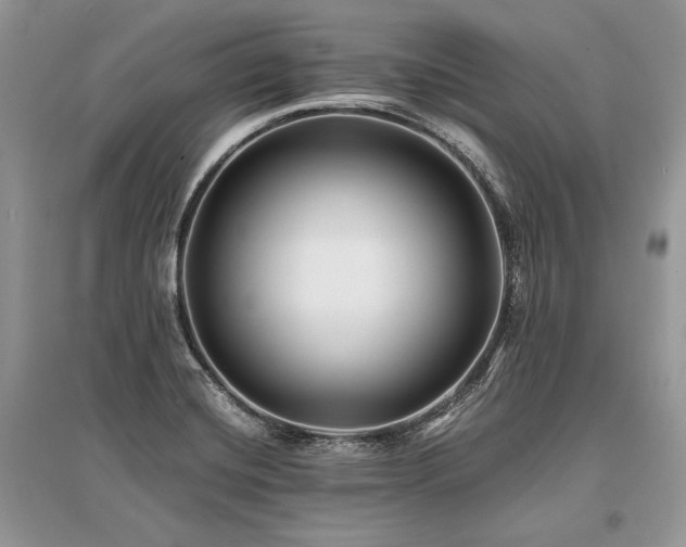 X0000096381420200801241226
