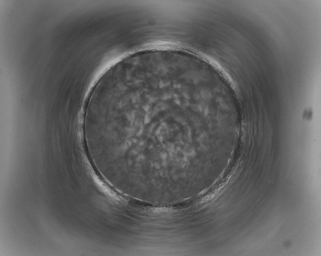 X0000096381421200801241226