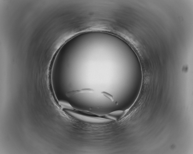 X0000096381423200801241226