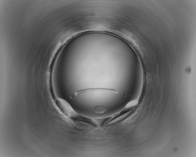 X0000096381424200801241226