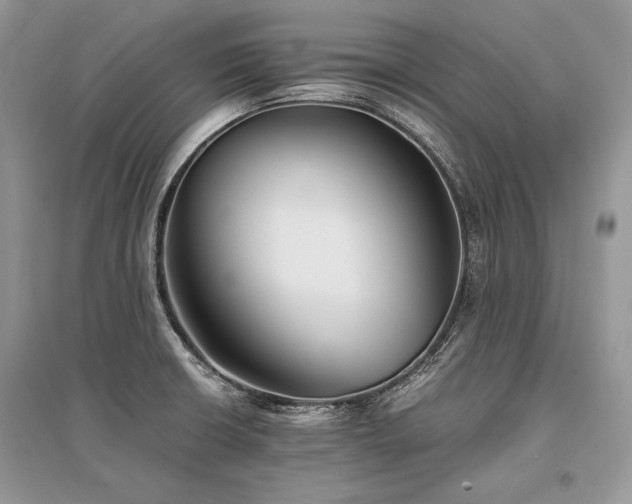X0000096381426200801241226