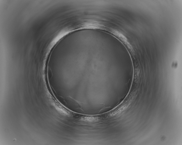 X0000096381427200801241226