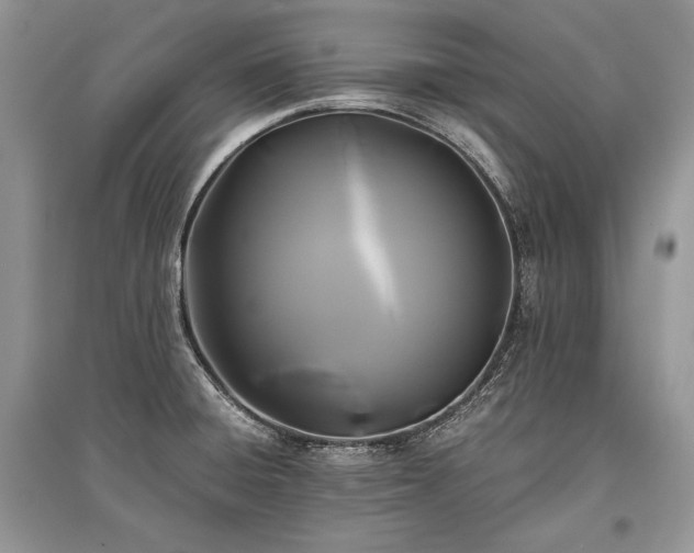 X0000096381428200801241226