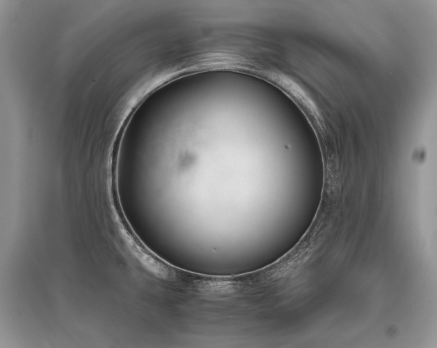 X0000096381431200801241226