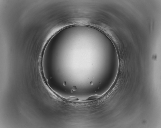 X0000096381432200801241226