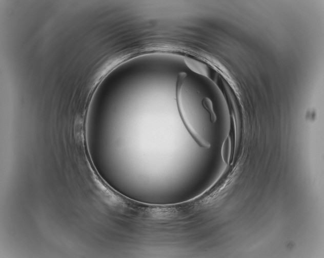 X0000096381433200801241227