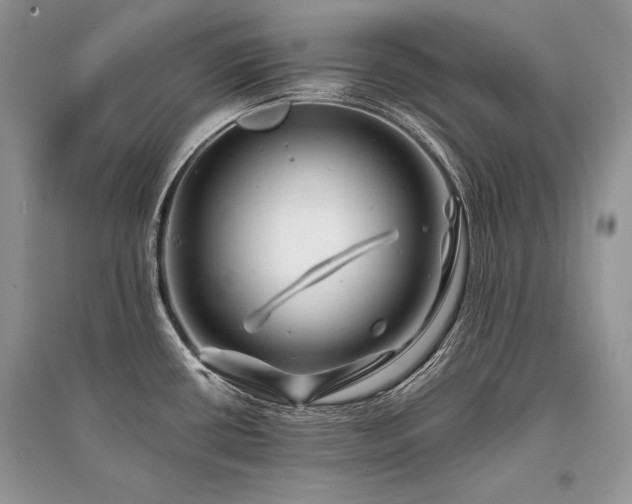 X0000096381434200801241227