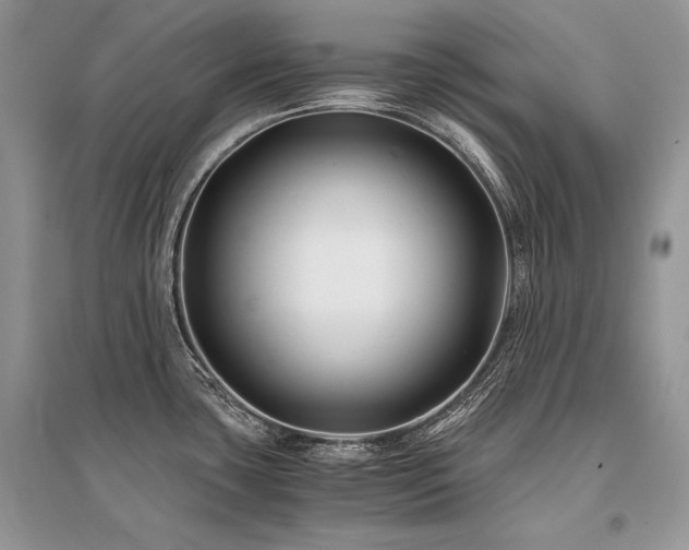X0000096381435200801241227