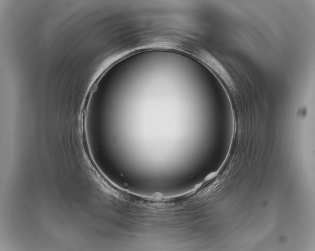 X0000096381436200801241227