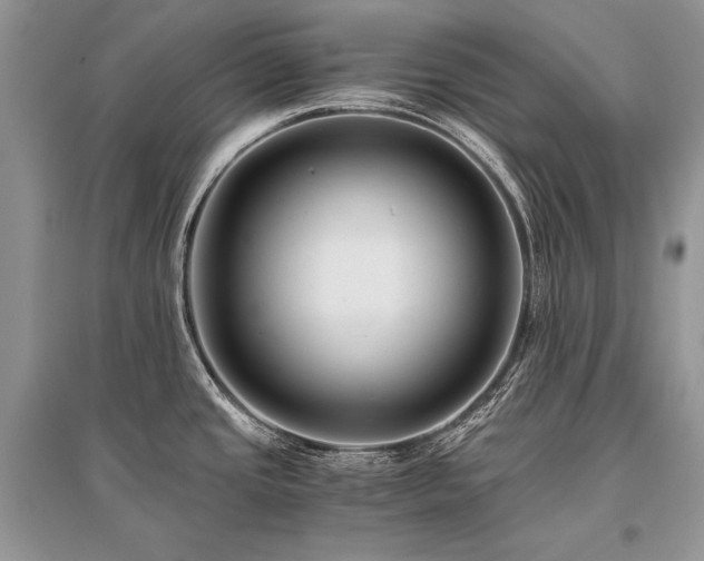 X0000096381437200801241227