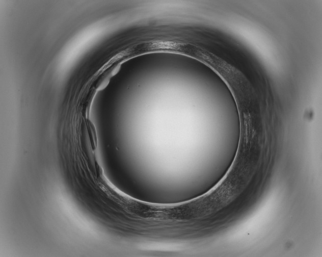 X0000096381438200801241227