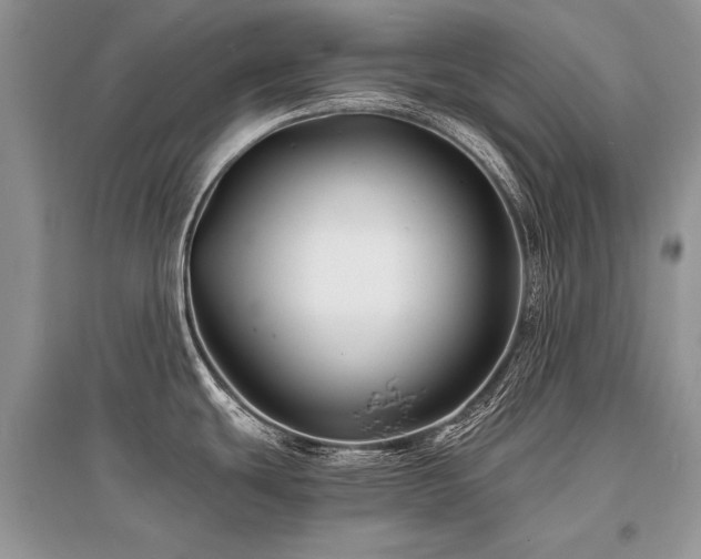 X0000096381439200801241227