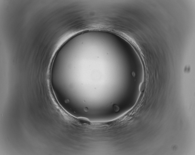 X0000096381440200801241227