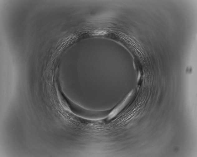 X0000096381441200801241226