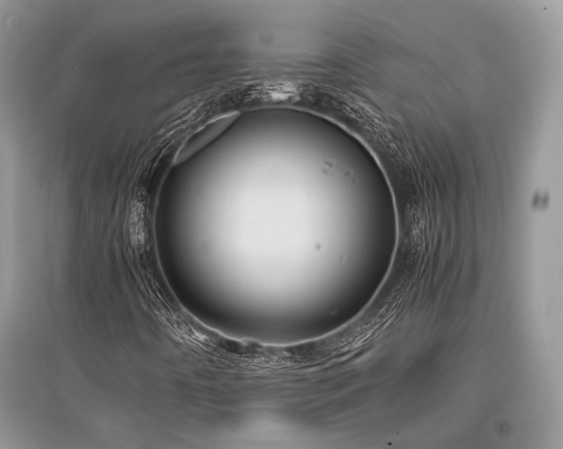 X0000096381442200801241226
