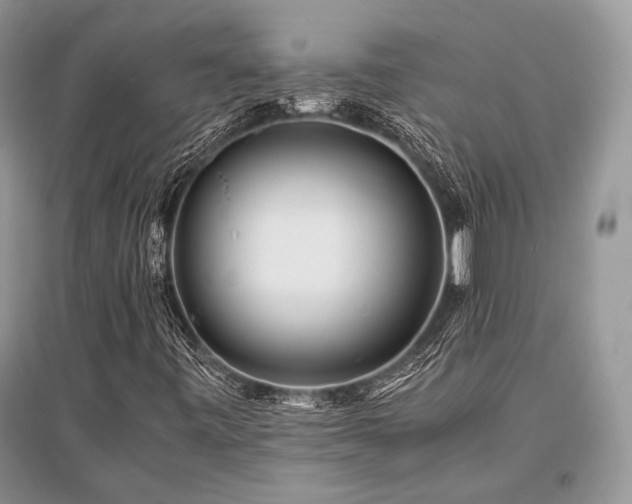 X0000096381443200801241226