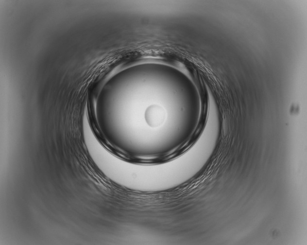 X0000096381444200801241226