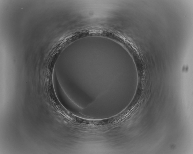 X0000096381445200801241226