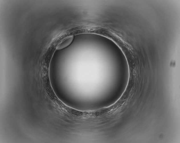 X0000096381447200801241226