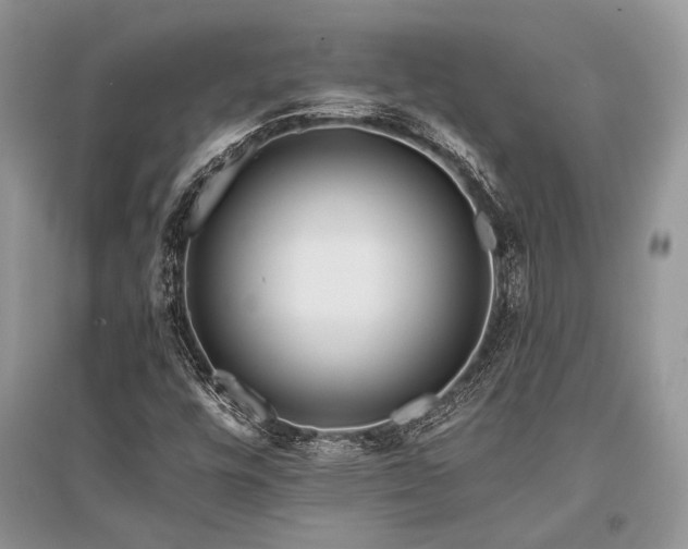 X0000096381448200801241226