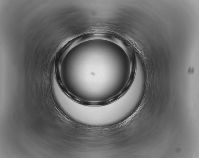 X0000096381449200801241226