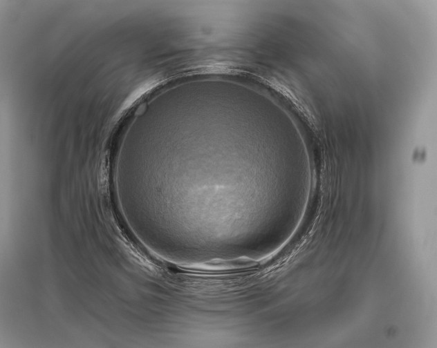 X0000096381450200801241226