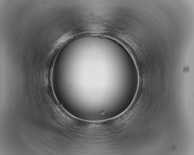X0000096381451200801241226