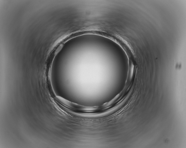 X0000096381452200801241226