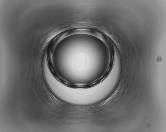 X0000096381453200801241226