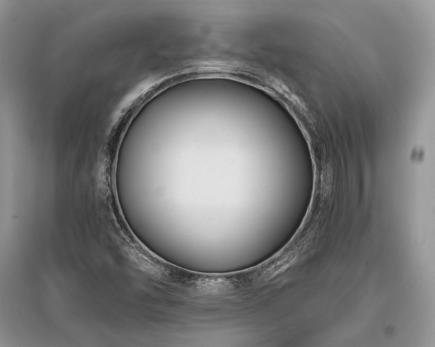 X0000096381454200801241226