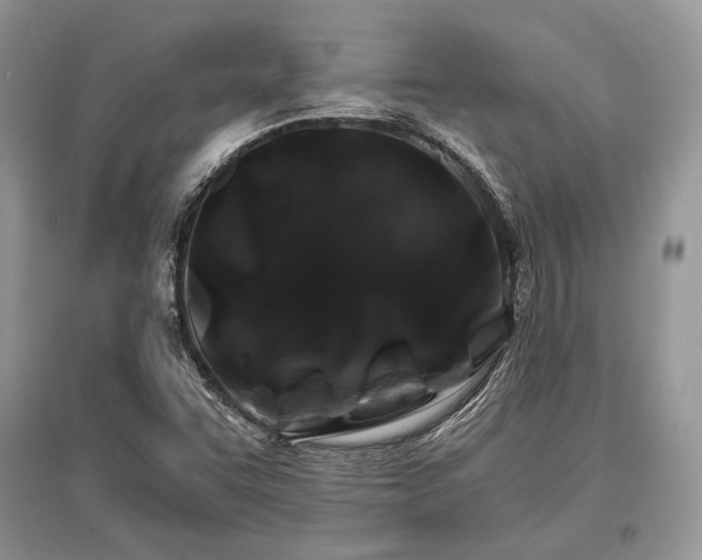 X0000096381455200801241226