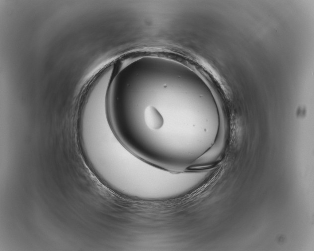 X0000096381456200801241226