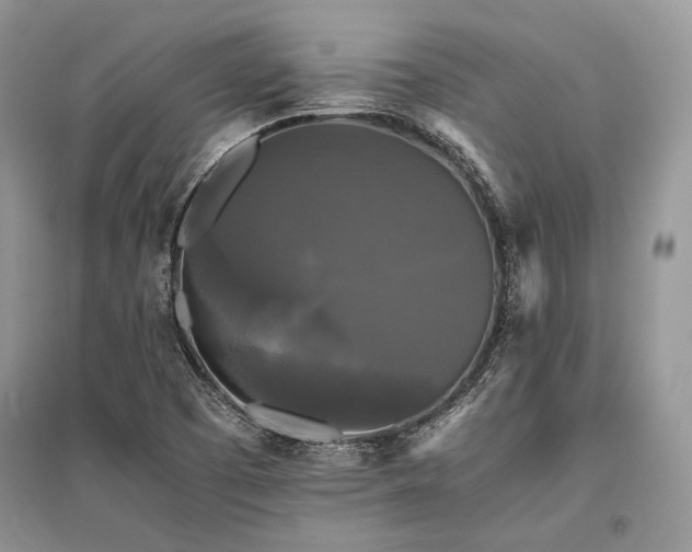X0000096381457200801241226