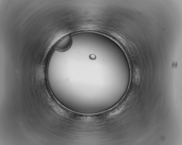 X0000096381458200801241226