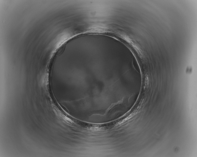 X0000096381459200801241226