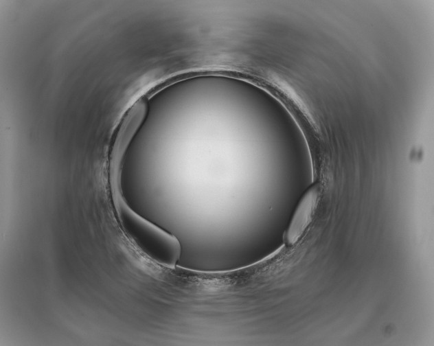 X0000096381460200801241226