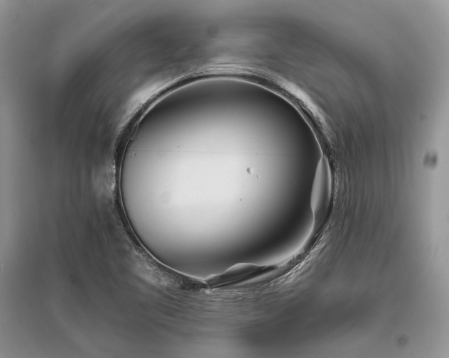 X0000096381461200801241226