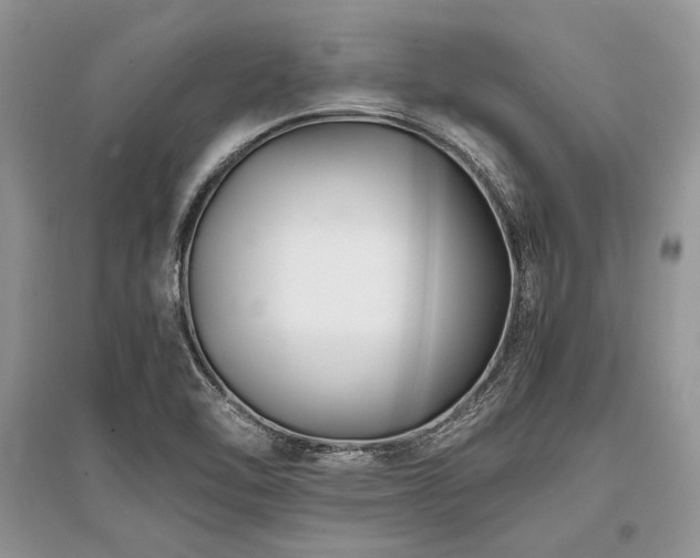 X0000096381462200801241226