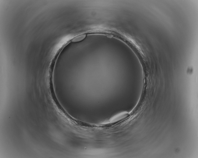 X0000096381463200801241226