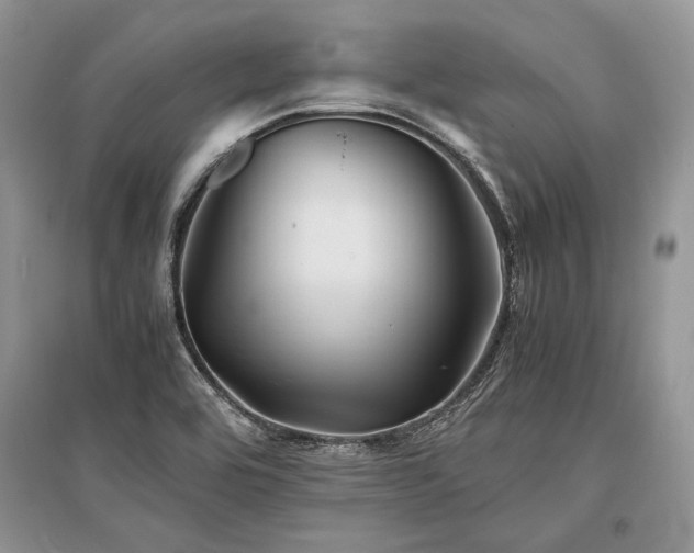 X0000096381464200801241226
