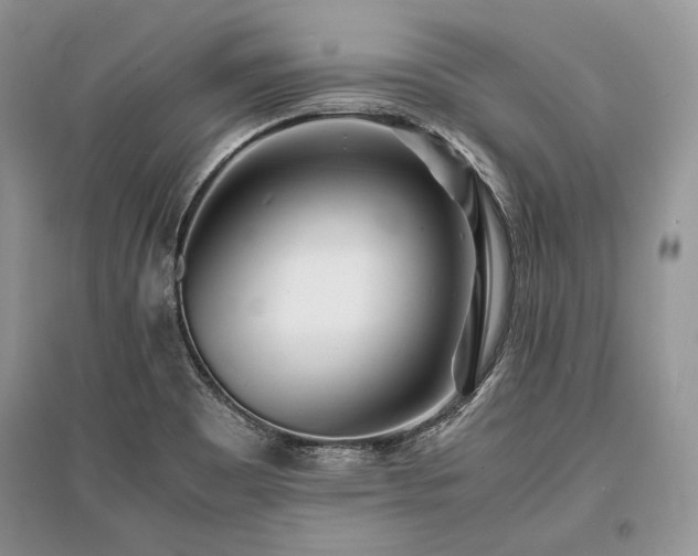 X0000096381465200801241226