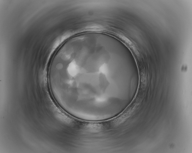 X0000096381466200801241226