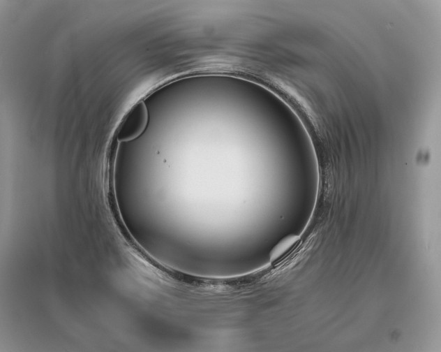 X0000096381467200801241226