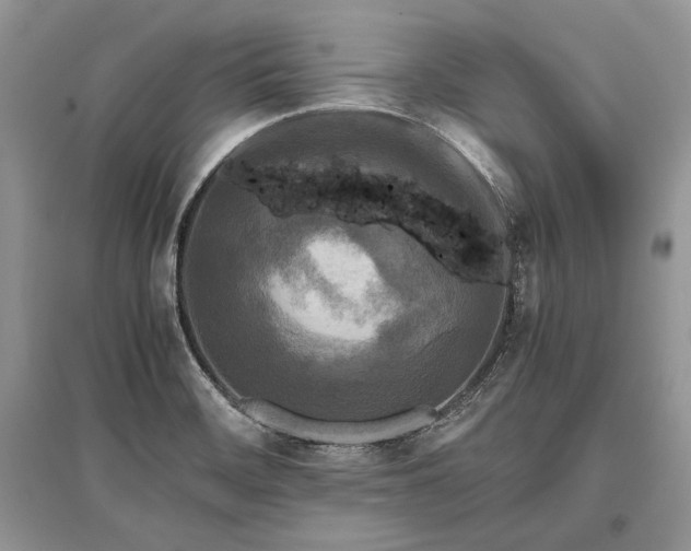 X0000096381468200801241226