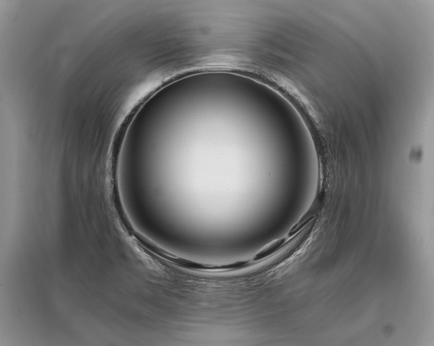 X0000096381469200801241226
