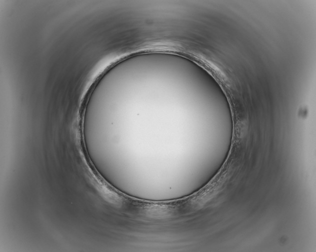 X0000096381470200801241226